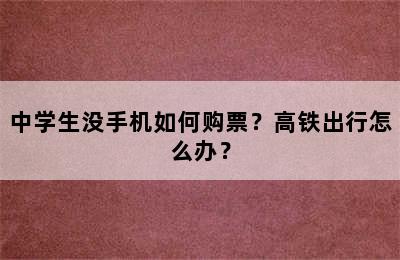 中学生没手机如何购票？高铁出行怎么办？