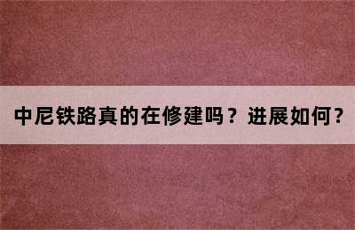 中尼铁路真的在修建吗？进展如何？