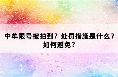 中牟限号被拍到？处罚措施是什么？如何避免？