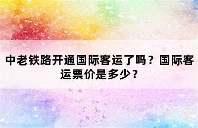 中老铁路开通国际客运了吗？国际客运票价是多少？