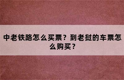 中老铁路怎么买票？到老挝的车票怎么购买？