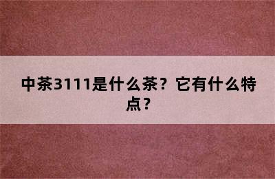 中茶3111是什么茶？它有什么特点？