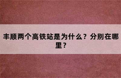 丰顺两个高铁站是为什么？分别在哪里？