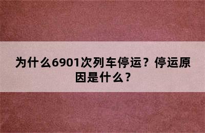 为什么6901次列车停运？停运原因是什么？