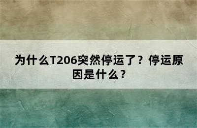 为什么T206突然停运了？停运原因是什么？