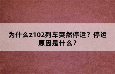 为什么z102列车突然停运？停运原因是什么？