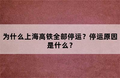 为什么上海高铁全部停运？停运原因是什么？