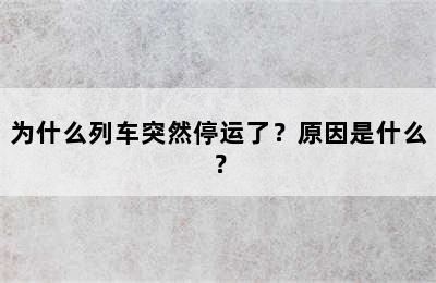 为什么列车突然停运了？原因是什么？