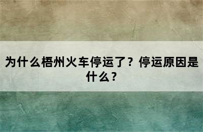 为什么梧州火车停运了？停运原因是什么？