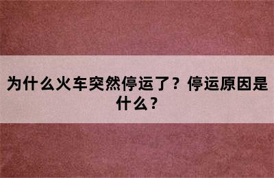 为什么火车突然停运了？停运原因是什么？