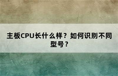 主板CPU长什么样？如何识别不同型号？