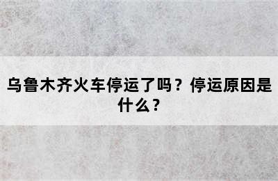 乌鲁木齐火车停运了吗？停运原因是什么？