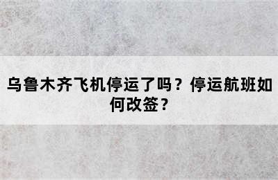 乌鲁木齐飞机停运了吗？停运航班如何改签？