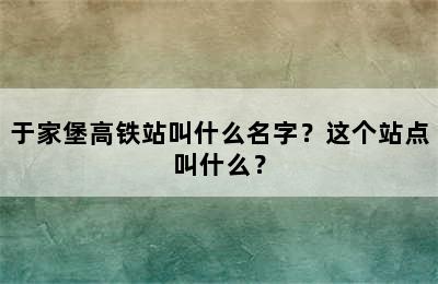 于家堡高铁站叫什么名字？这个站点叫什么？