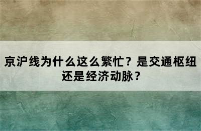 京沪线为什么这么繁忙？是交通枢纽还是经济动脉？