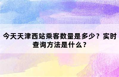 今天天津西站乘客数量是多少？实时查询方法是什么？