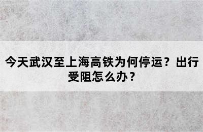 今天武汉至上海高铁为何停运？出行受阻怎么办？