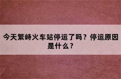 今天繁峙火车站停运了吗？停运原因是什么？