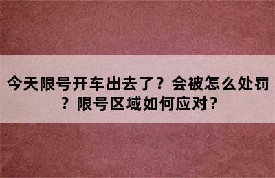 今天限号开车出去了？会被怎么处罚？限号区域如何应对？