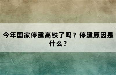 今年国家停建高铁了吗？停建原因是什么？