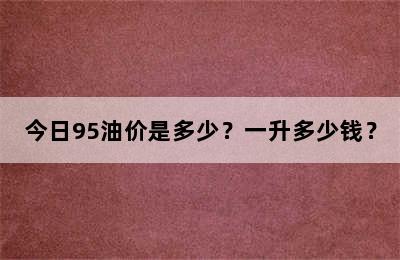 今日95油价是多少？一升多少钱？