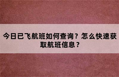 今日已飞航班如何查询？怎么快速获取航班信息？