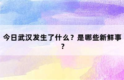 今日武汉发生了什么？是哪些新鲜事？