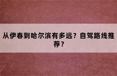 从伊春到哈尔滨有多远？自驾路线推荐？