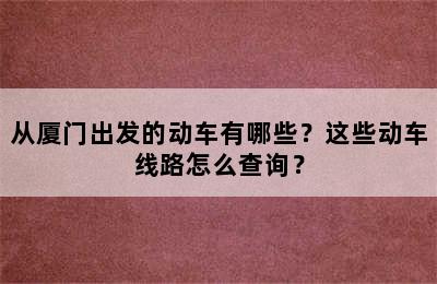 从厦门出发的动车有哪些？这些动车线路怎么查询？