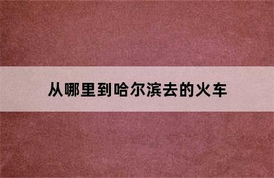 从哪里到哈尔滨去的火车