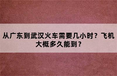 从广东到武汉火车需要几小时？飞机大概多久能到？