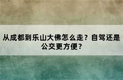 从成都到乐山大佛怎么走？自驾还是公交更方便？