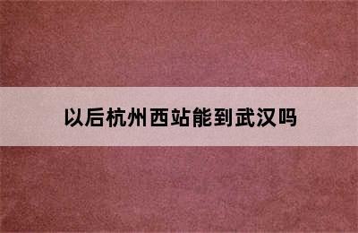 以后杭州西站能到武汉吗