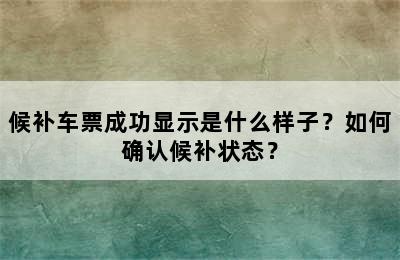 候补车票成功显示是什么样子？如何确认候补状态？