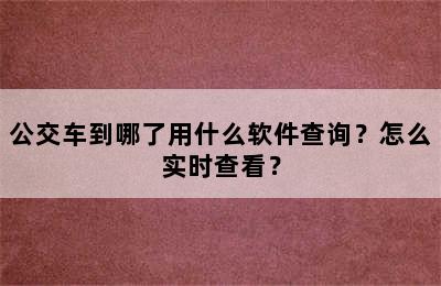 公交车到哪了用什么软件查询？怎么实时查看？