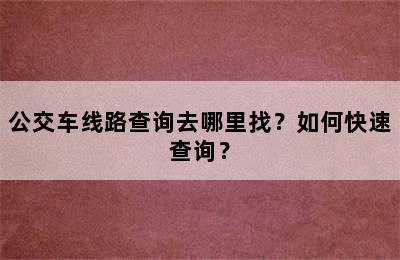 公交车线路查询去哪里找？如何快速查询？