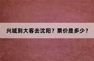 兴城到大客去沈阳？票价是多少？