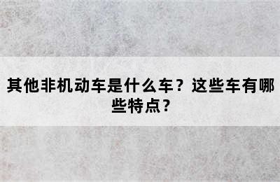 其他非机动车是什么车？这些车有哪些特点？