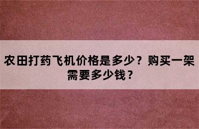 农田打药飞机价格是多少？购买一架需要多少钱？