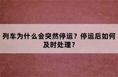 列车为什么会突然停运？停运后如何及时处理？