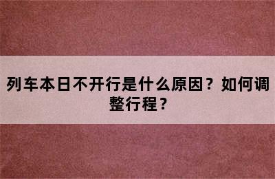 列车本日不开行是什么原因？如何调整行程？