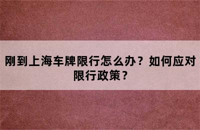 刚到上海车牌限行怎么办？如何应对限行政策？