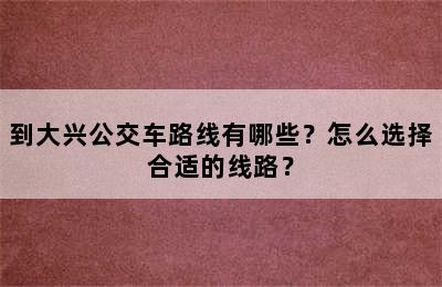 到大兴公交车路线有哪些？怎么选择合适的线路？