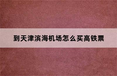 到天津滨海机场怎么买高铁票