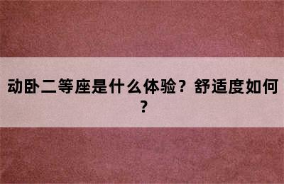 动卧二等座是什么体验？舒适度如何？
