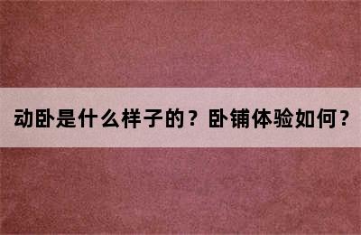 动卧是什么样子的？卧铺体验如何？
