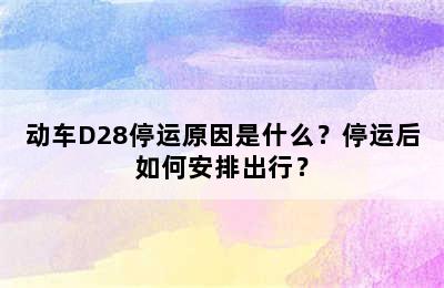 动车D28停运原因是什么？停运后如何安排出行？