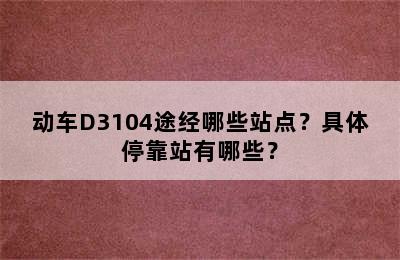 动车D3104途经哪些站点？具体停靠站有哪些？
