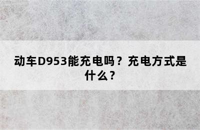 动车D953能充电吗？充电方式是什么？