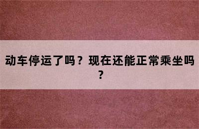 动车停运了吗？现在还能正常乘坐吗？
